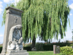 Die große Trauerweide rahmte den Friedhof würdevoll ein. Leider musste sie nach einem Sturmschaden 2013 gefällt werden.