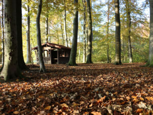 Schutzhütte im Oerier Wald
